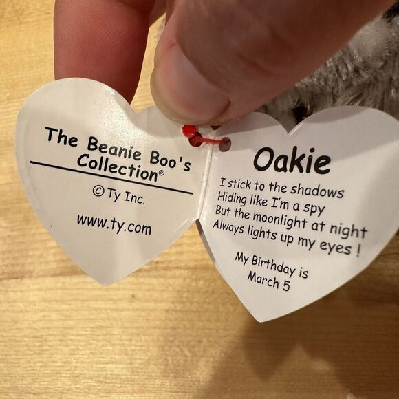 TY Beanie Boos - OAKIE the Raccoon (Glitter Eyes)(Regular Size - 6 inch) Plush - Picture 4 of 5